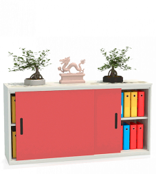 Шкаф-купе архивный ALS-8818